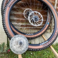 bicycle wheels