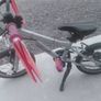 girls bike Image 6