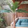 Artificial palm tree Image 3
