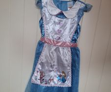 Alice in Wonderland Costume