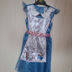 Alice in Wonderland Costume