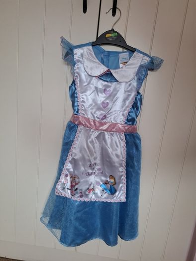 Alice in Wonderland Costume