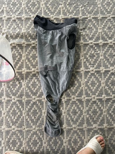 Dog recovery suit and cone Large