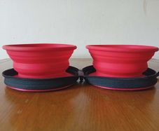 Collapsible Dog Bowl