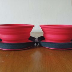 Collapsible Dog Bowl