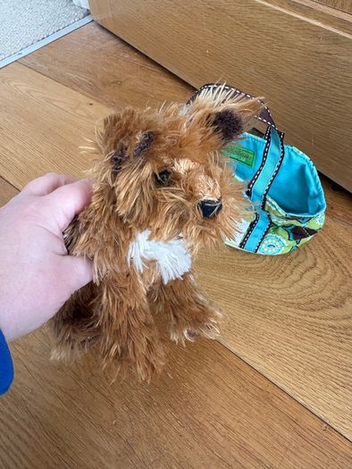 Dog stuffed animal in bag
