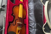 Fiddle new, 5string