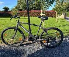 2 Adult Bikes