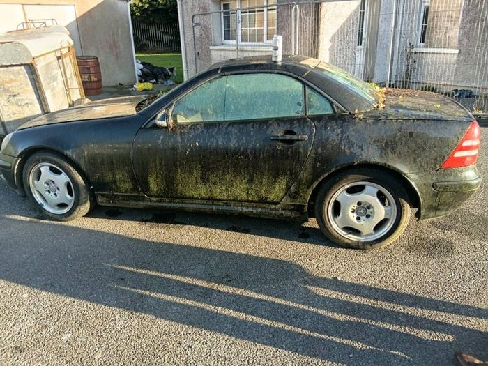 Mercedes-Benz vintage fell offended tomorrow