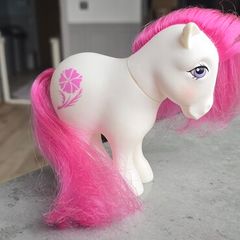 October Cosmo Birthflower Birthday Mail Order MO HTF MLP G1 My Little Pony