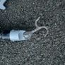 Jameson fibreglass poles Image 4