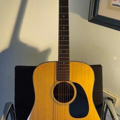 Vintage Japanese F340s Takamine guitar