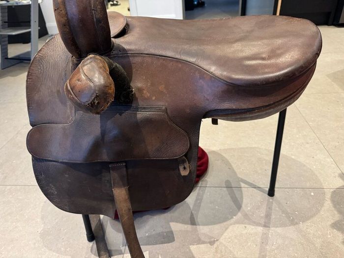 Side Saddle Champion Wilton