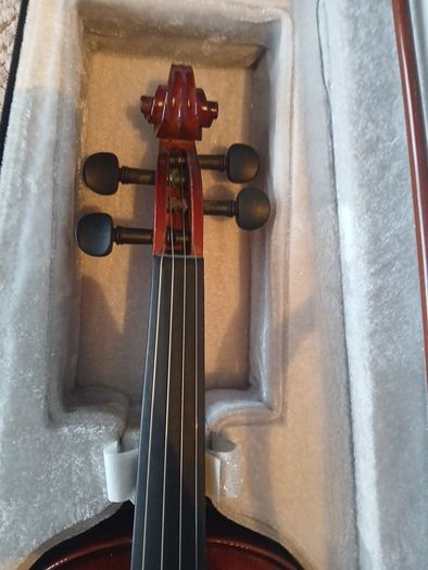 violin