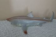 Shark toy new