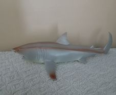 Shark toy new