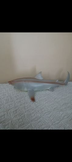 Shark toy new
