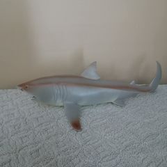 Shark toy new