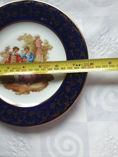 Limoges Porcelain Plate