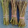 300 x 12" willow cuttings rods Image 2