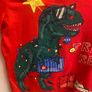 Christmas dinosaur top (age 3-4) Image 3