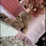 Party business for sale Image 7