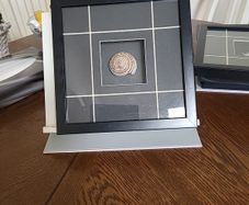 Seashell pictures