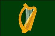 Leinster flag 150 x 100cm