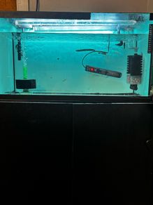 fish tank