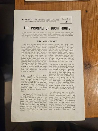 Vintage Department Of Agricultural Pamplets,and Leaflets X 13. In Good Condition.  See Photos For Same.