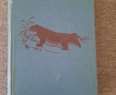 Creatures of Other Days 1896 hardback first edition by Rev H N Hutchinson in good condition FREE POSTAGE INCLUDED