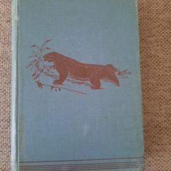 Creatures of Other Days 1896 hardback first edition by Rev H N Hutchinson in good condition FREE POSTAGE INCLUDED