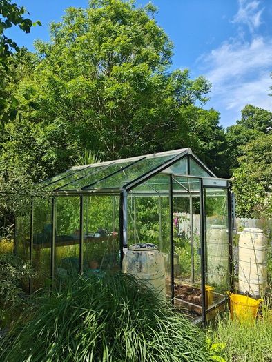 Green house  domestic garden