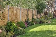Soft  landscaping services north dublin