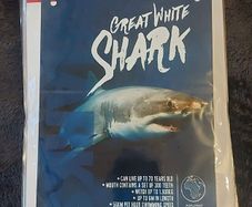 Great white shark metal sign