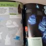 Disney Ideas Book Image 2