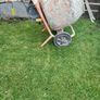 Cement Mixer Belle Image 4