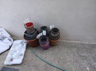 plant pots