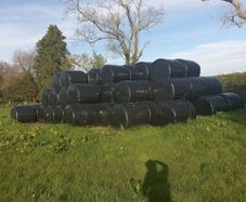 Haylage Bales