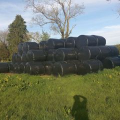 Haylage Bales