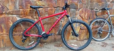Carrera Mountain Bike