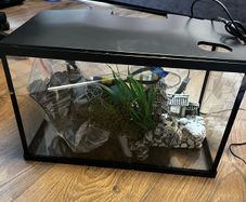 Fish Tank Kit