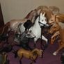 Toy Horse Collection Image 6