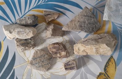 Rocks from the Holy Land