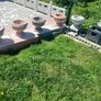 garden Image 3