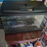 Fish Tank and Stand Image 2