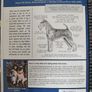 Notes from the grooming table dog grooming book first edition Image 2