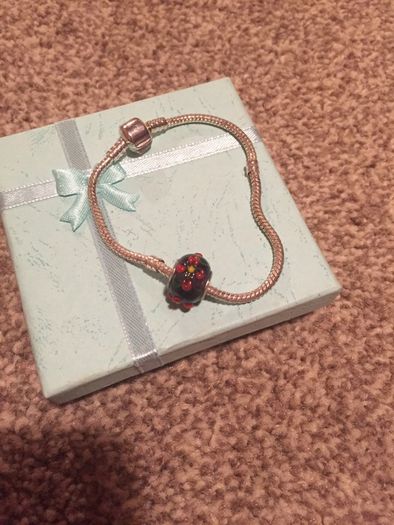 bracelet charm