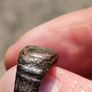 13th Century AD Nomad Bronze Ring Image 6