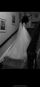 veil